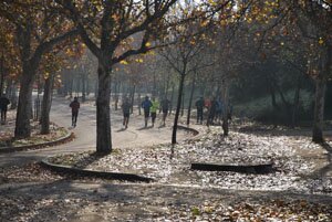 Mapoma presenta los planes de entrenamiento 2013