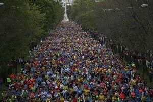 Rock and Roll Madrid Maratón